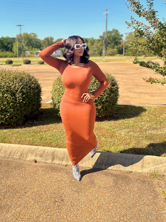 Body Language Dress (Brown)