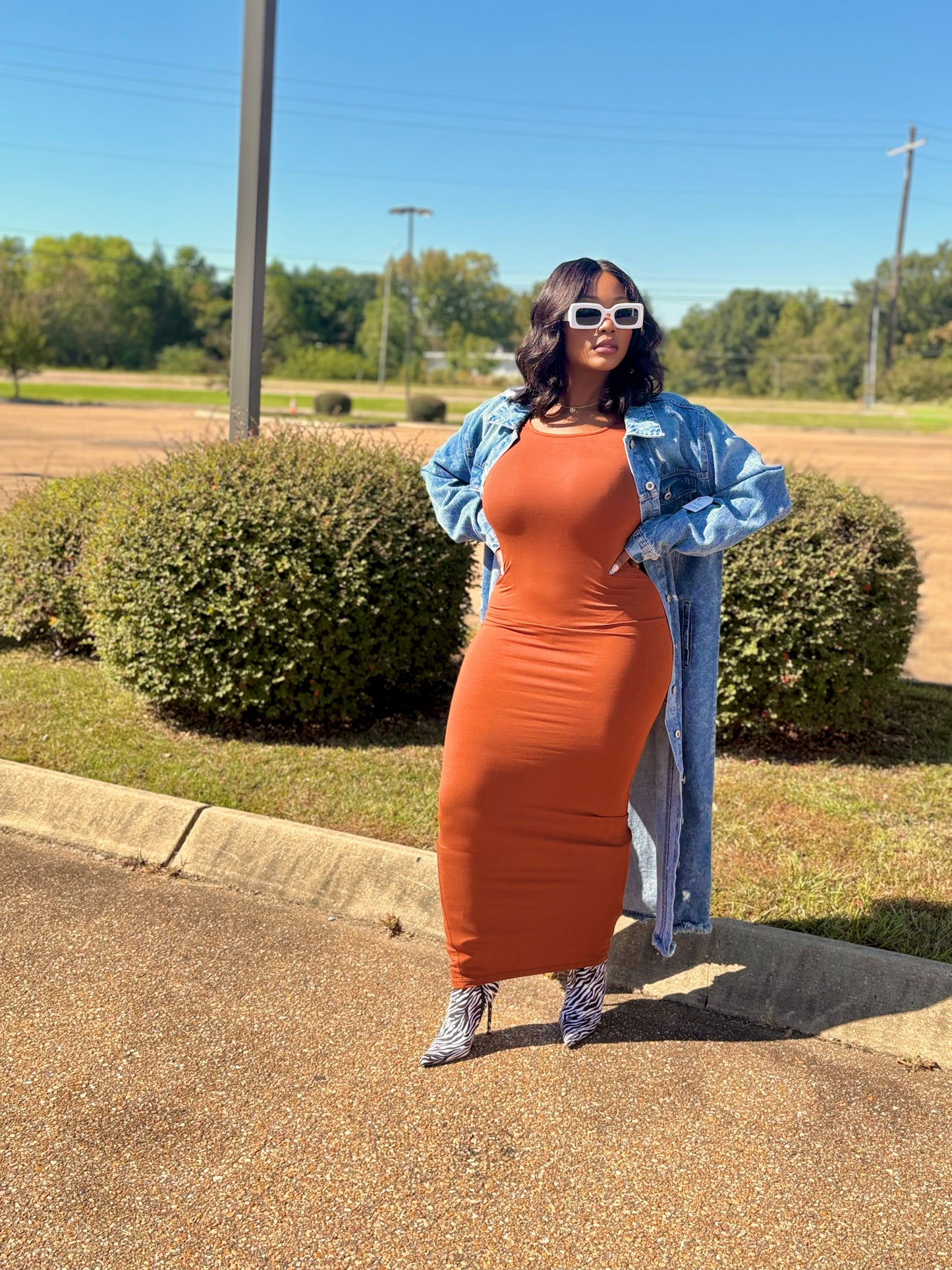 Body Language Dress (Brown)