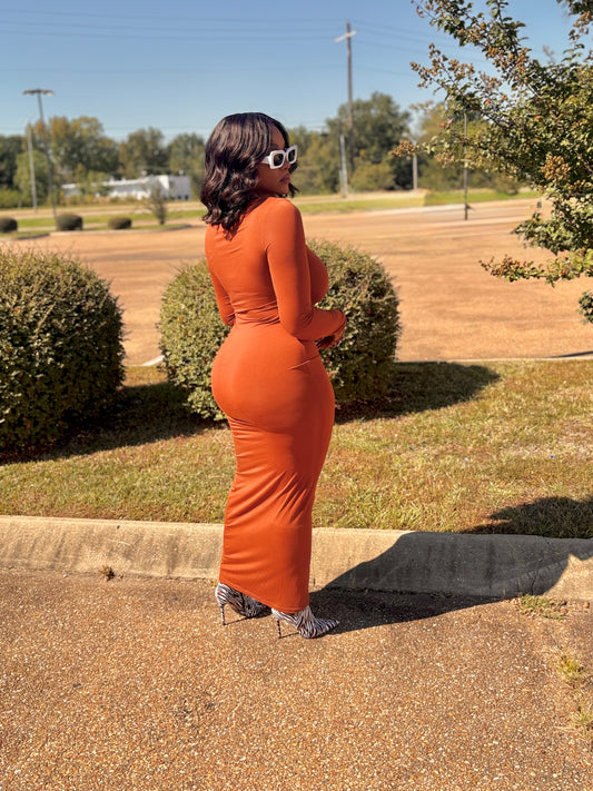 Body Language Dress (Brown)